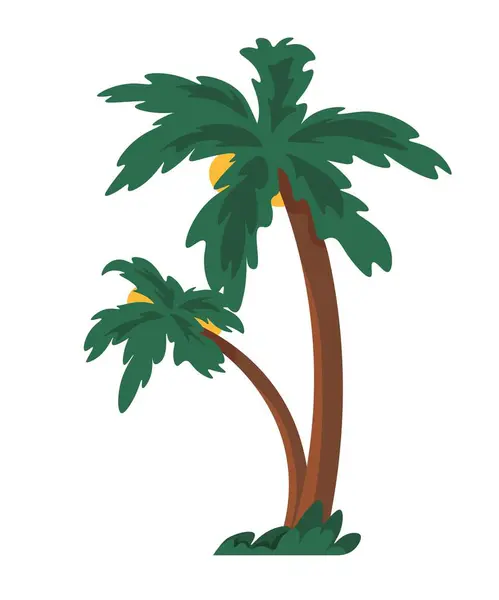 棕榈树 树干坚实 孤立的热带和外来植被和自然 野外植物 海滩和岛屿的花卉设计 矢量呈扁平型 — 图库矢量图片