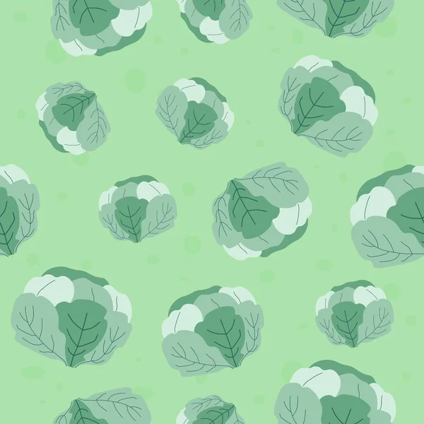 Ferme Cultivé Récolté Chou Produit Savoureux Biologique Naturel Ingrédient Végétal — Image vectorielle