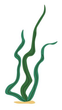 Su altı organizma yosunları. Organik su bitkisi çizimi. Hijiki yosunu veya yosun Asya deniz bitkisi. İzole edilmiş yenilebilir bitki yaprakları. Akvaryumun bitkileri. Düz biçimli vektör