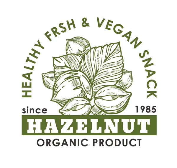 Tasty Healthy Aromatic Hazelnut Contains Many Useful Fats Antioxidants Natural — 스톡 벡터