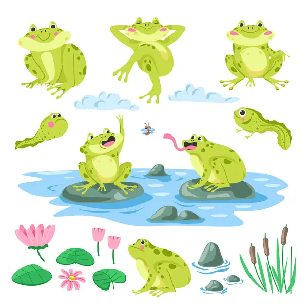 stock vector Cartoon frogs nature habitat. Cute amphibian, tadpoles, toads sitting on stones and catching fly, water lilies, summer pond illustration set. Reed and flowers, wildlife. Vector in flat style