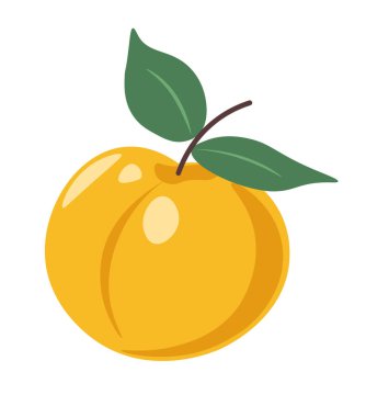 Yapraklı taze kayısı, vitamin ve mineral açısından zengin besleyici yaz meyveleri. Yemek ve detoks için bahçe ya da çiftlik meyvesi. Sağlıklı ve organik, lezzetli yiyecekler veya atıştırmalıklar. Düz biçimli vektör