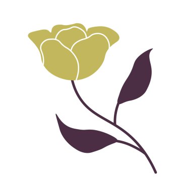 Yapraklarla çiçek açan gül. Aşkın ve güzelliğin doğal mistik sembolü. İzole edilmiş harika boho sihirli çiçek. Çiçekli bahçe çiçeği. Meyve bahçesi botaniğinin güzelleşmesi. Düz biçimli vektör