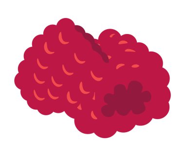 Ekolojik olarak temiz çiftlik ahududu. Tatlılar, meyve suları ve reçeller için doğal organik ürün. Vejetaryenler için taze, kaliteli böğürtlenler. Sağlık için vitamin meyvesi diyeti. Düz biçimli vektör