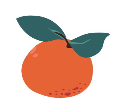 Clementine veya mandalina. Yapraklı yalıtılmış narenciye. Olgun ve taze mandalina. Bayram şenliklerine ve favori kış atıştırmalıklarına ilave. Diyet için besleyici bir ürün. Düz biçimli vektör