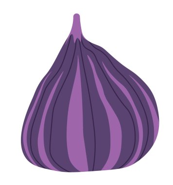 Tatlı etli incir meyvesi. Organik asitlerin, vitaminlerin, minerallerin kaynağı. Aromatik reçel yapımında kullanılıyor. Organik meyveler sağlıklı vejetaryen yiyecekler. Düz biçim illüstrasyonunda izole simge vektörü