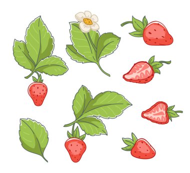 Yaz meyveleri, yapraklı, yapraklı, bütün ve yarım çilekli izole çiçek ikonları. Diyet ve beslenme için organik ve doğal yemek, dengeli beslenme. Düz biçimli vektör