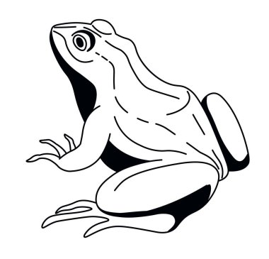 Duruşu dengeli olan zarif bir kurbağa, beyaz üzerine izole edilmiş, gösterişli bir çizgi sanatı tarzında vektör çizimi..