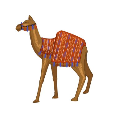 Transport in ancient Egypt, isolated mammal with decorative blanket on back. Camel for tourists, Egyptian culture and traditions. Dromedary animal, wild adventures in desert. Vector in flat style