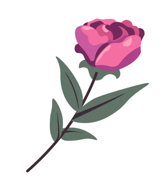 Stylizowana Różowa Róża Liśćmi Płaski Wzór Wektor Ilustracji Izolowane Białym Wektor Stockowy