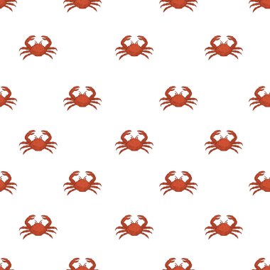 Beyaz arkaplan, kırmızı yengeç deseni, vektör illüstrasyonu.