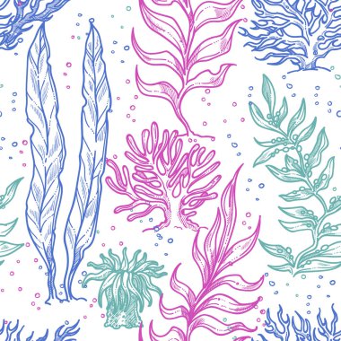 Beyaz arka planda parlak deniz bitkisi, kusursuz vektör deseni.