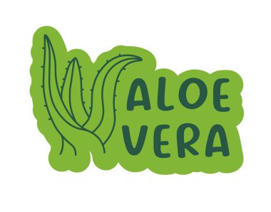 Sakinleştirici bir aloe vera bitkisinin düz stil vektörü, beyaz üzerinde izole edilmiş..