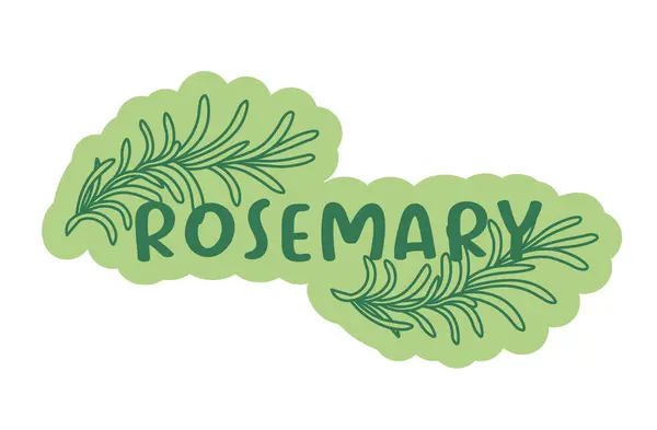 Vector Graphic Rosemary Sprig Flat Style Isolated White ストックイラスト