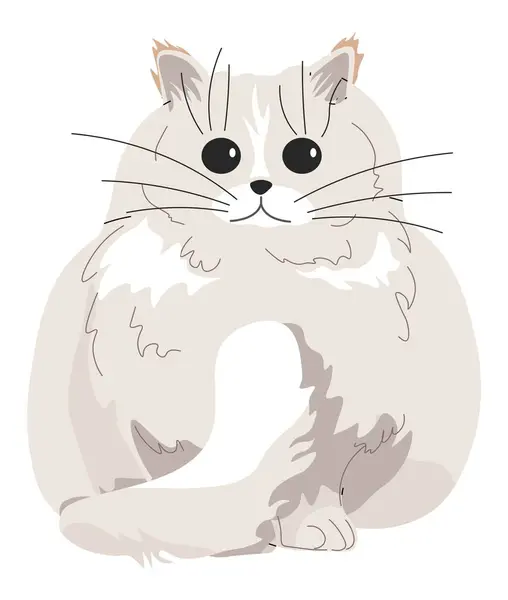 Retrato Gato Com Casaco Peludo Branco Cabelos Longos Gatinho Encantador Vetor De Stock
