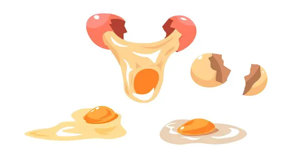 Chicken Egg Ingredient Cooking Preparing Food Isolated Nutritious Meal Whites Ilustração De Bancos De Imagens