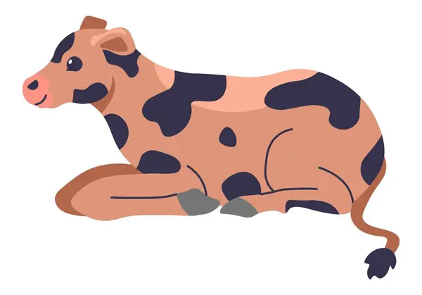 Bestiame Animali Domestici Allevamento Bovino Isolato Azienda Vitello Con Macchie Illustrazioni Stock Royalty Free