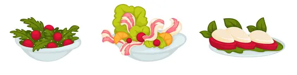 Trio Vectorial Boluri Salată Proaspete Asortate Viu Colorate Izolate Alb Grafică vectorială