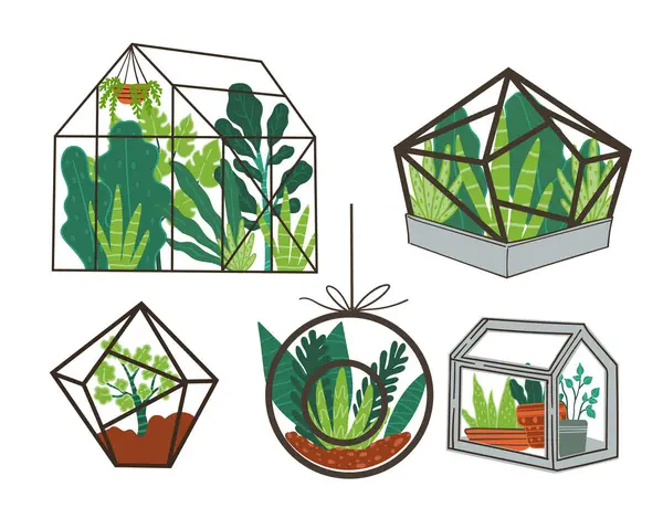 Artistic Vector Representation Greenhouse Terrariums Filled Vibrant Plants Isolated White Royalty Free Stock Illustrations