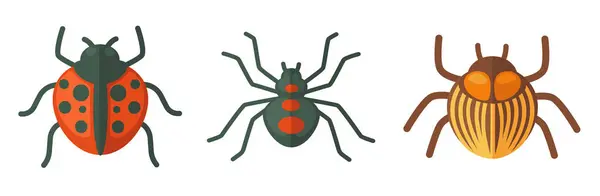 Una Encantadora Colección Mariquitas Escarabajos Vectorizada Ideal Para Contenidos Educativos Ilustraciones de stock libres de derechos