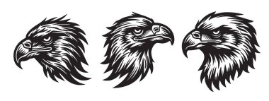 Dinamik kartal siluetlerinin vektör çizimi, markalaşma ve vahşi yaşam temalarında kullanılmak için ideal pozlar içeriyor.