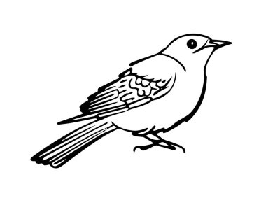 Bir kuşun minimalist çizgisi, beyaz arkaplanda izole edilmiş vektör illüstrasyonu.