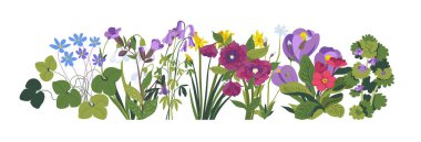 Renkli bahar çiçeklerinin ve yaprakların detaylı, vektör tarzıyla sunulduğu bir resim. Beyaz bir arkaplanda izole edilmiş.