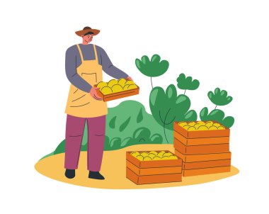 Bir çiftçinin el arabasıyla balkabağı topladığı tasviri. Biçim modern ve düz ve vektör illüstrasyonu beyaz bir arkaplanda izole edilmiştir. Sonbahar veya tarım temalı projeler için ideal.