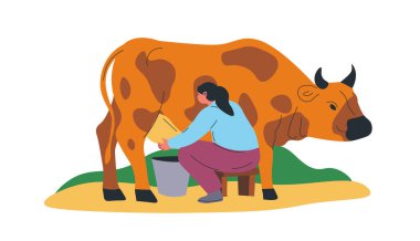 Tarlada inek sağan bir çiftçi tasviri. Biçim modern ve düz ve vektör illüstrasyonu beyaz bir arkaplanda izole edilmiştir. Tarım ve tarımla ilgili içerik için ideal.
