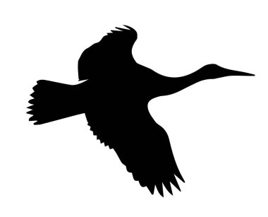 Uçan bir kuşun silueti. Geniş kanatları ve aerodinamik bir vücudu var..