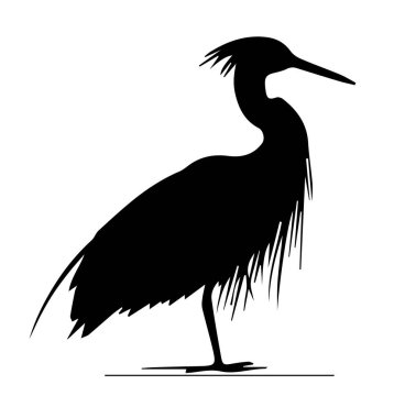 Ayrıntılı tüy detaylarıyla ve uzun gagasıyla hareketsiz duran bir balıkçıl silueti..