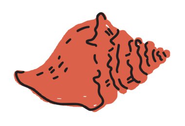 Süslü bir deniz kabuğu kabuğunun bembeyaz bir arkaplanda izole edilmiş el çizimi, vektör biçimi. Okyanus ve eğitim temaları için uygundur.