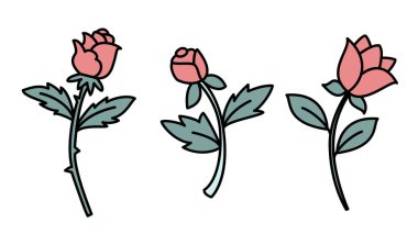 Yeşil yapraklı üç pembe gülden oluşan bir kolleksiyon, basit bir vektör tarzında tasarlanmış ve beyaz bir arkaplanda izole edilmiş..