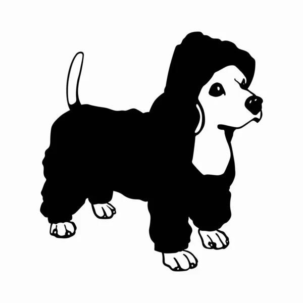 フード付きのジャンプスーツの小さな犬 — ストックベクタ