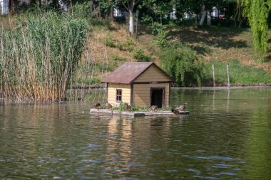 Gölün ortasında ördekler için küçük bir ev.