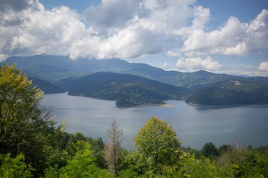 Dağ ormanı ve göl