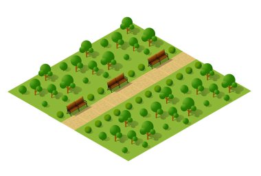 Kare bir arazide büyüyen yemyeşil bir ormanın Isometric çizimi