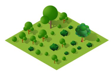 Kare bir arazide büyüyen yemyeşil bir ormanın Isometric çizimi