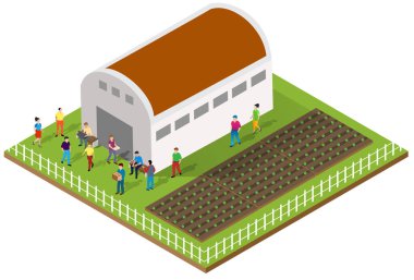 Sera yakınlarında toplanan çiftçileri temsil eden, hasat ve ekinler hakkında tartışan Isometric illüstrasyon
