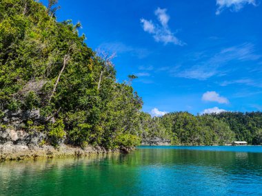 Sugba Lagoon, Siargao, Surigao 'da huzur dolu manzaralı bir vadide doğal elementlerin, toprak, gökyüzü ve suyun huzur dolu bir görüntüsü bir araya geliyor..