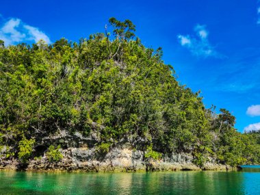 Doğal elementlerin huzurlu, pitoresk bir sahnesi - toprak, gökyüzü ve su - huzurlu, manzaralı bir manzarada bir araya geliyor..