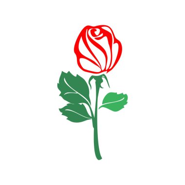 Yeşil yapraklı gül çiçeği, beyaz arkaplanda izole edilmiş vektör çizimi