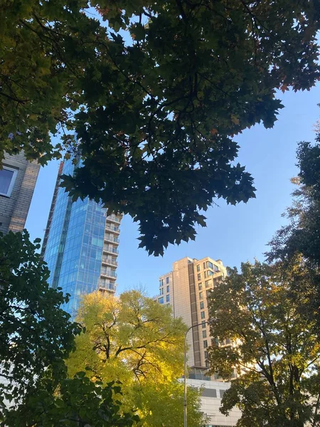 秋の時期にヴィリニュスと黄色の木々の新しい近代的な建物 — ストック写真