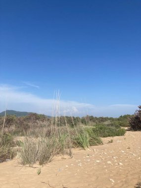 Yaz mevsiminde Yunanistan 'ın Korfu kentinde Sandy Chalikounas plajı