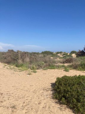 Yaz mevsiminde Yunanistan 'ın Korfu kentinde Sandy Chalikounas plajı