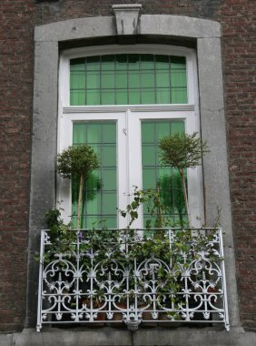 Maastricht, Hollanda 'da yeşil bitkili eski pencere