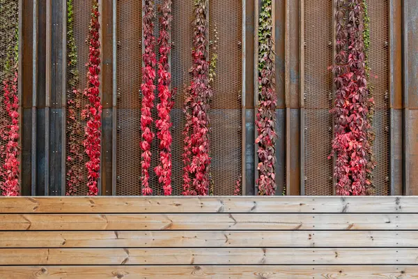 带有锈蚀金属 木料和生长中的常春藤植物的现代建筑墙 免版税图库照片