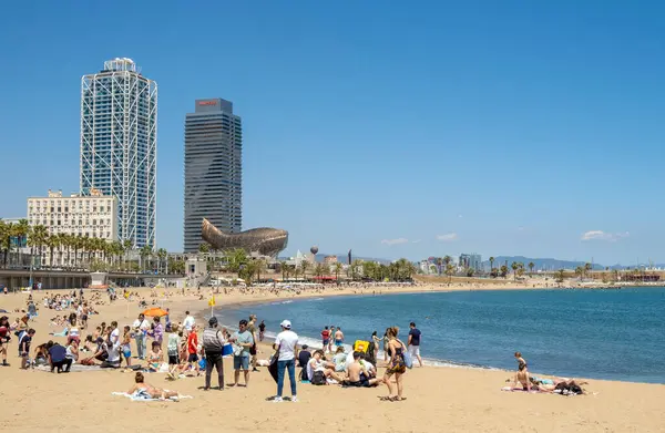 Barselona, İspanya - 02 Mayıs 2023: Barceloneta ve San Sebastian plajı ılık bahar günlerinde Barcelona 'da ılıman bir kalabalıkla