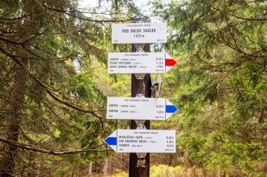 Slovakya 'da yürüyüş işareti, orman yürüyüşü, doğa yürüyüşü güzergahı.