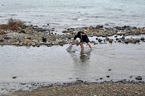 Christchurch New Zealand October 2022 Fisherman Checking His Whitebaiting Net — Stock Photo, Image